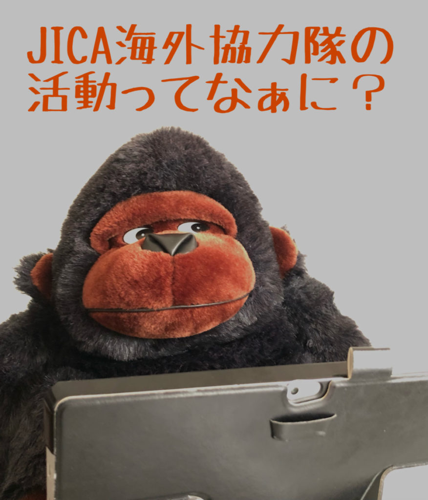 JICA海外協力隊の活動ってなぁに？